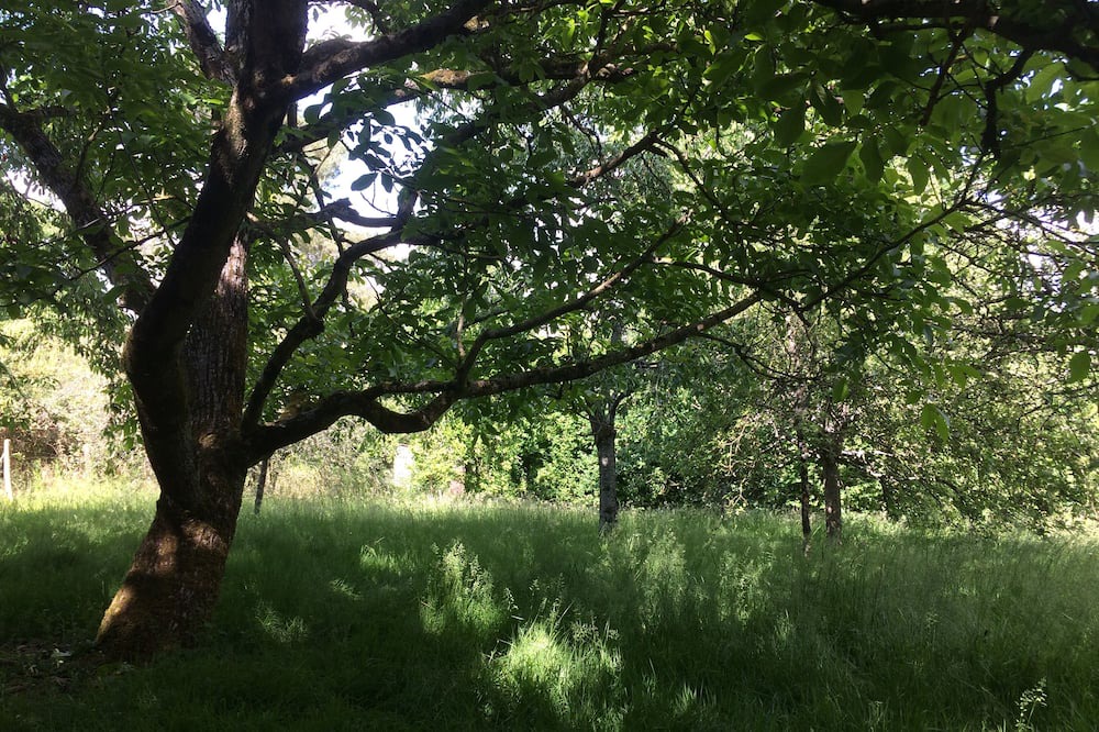 Photo of Outdoor in Sablonnieres