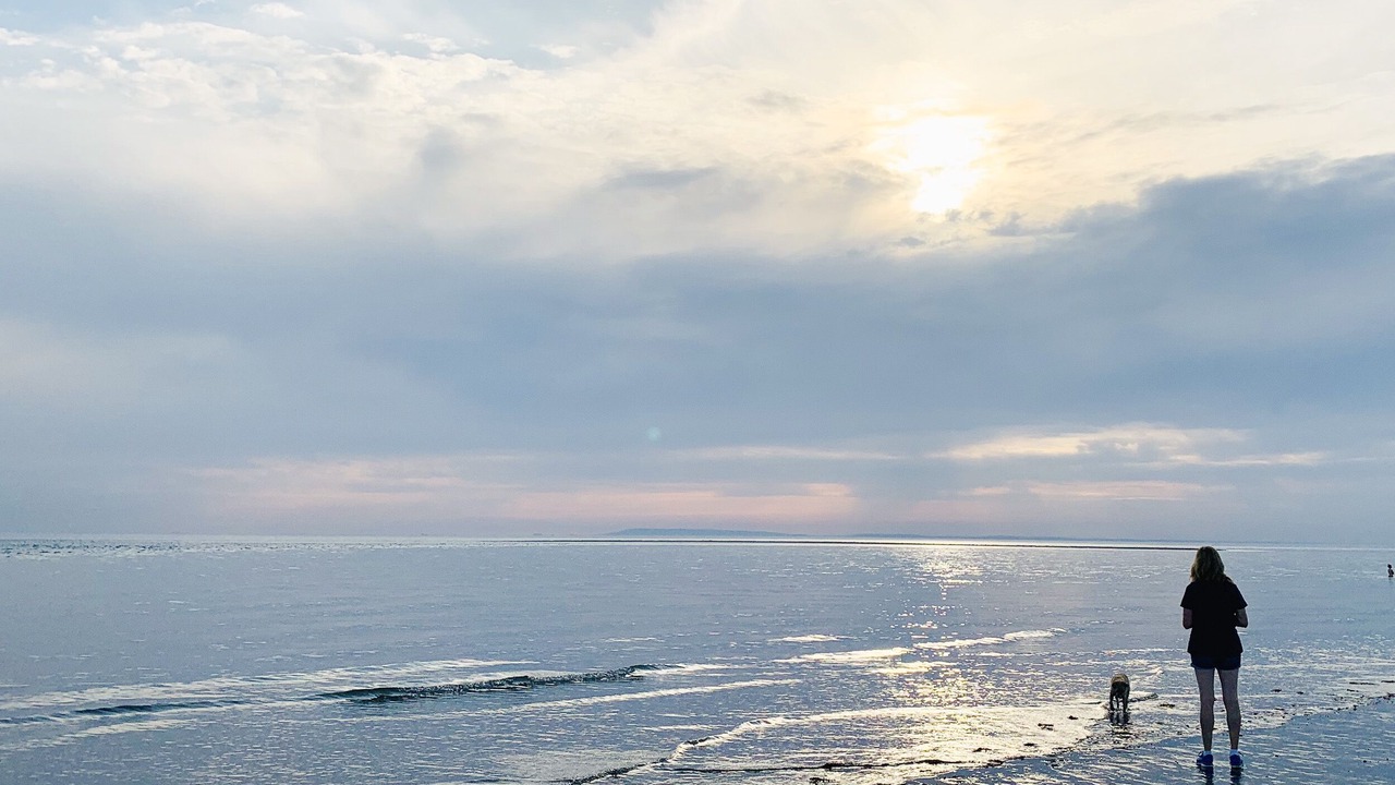 Photo of Others in Selsey