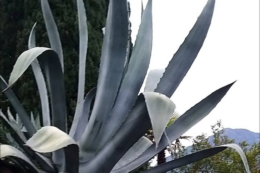 Photo of Outdoor in Bigogno