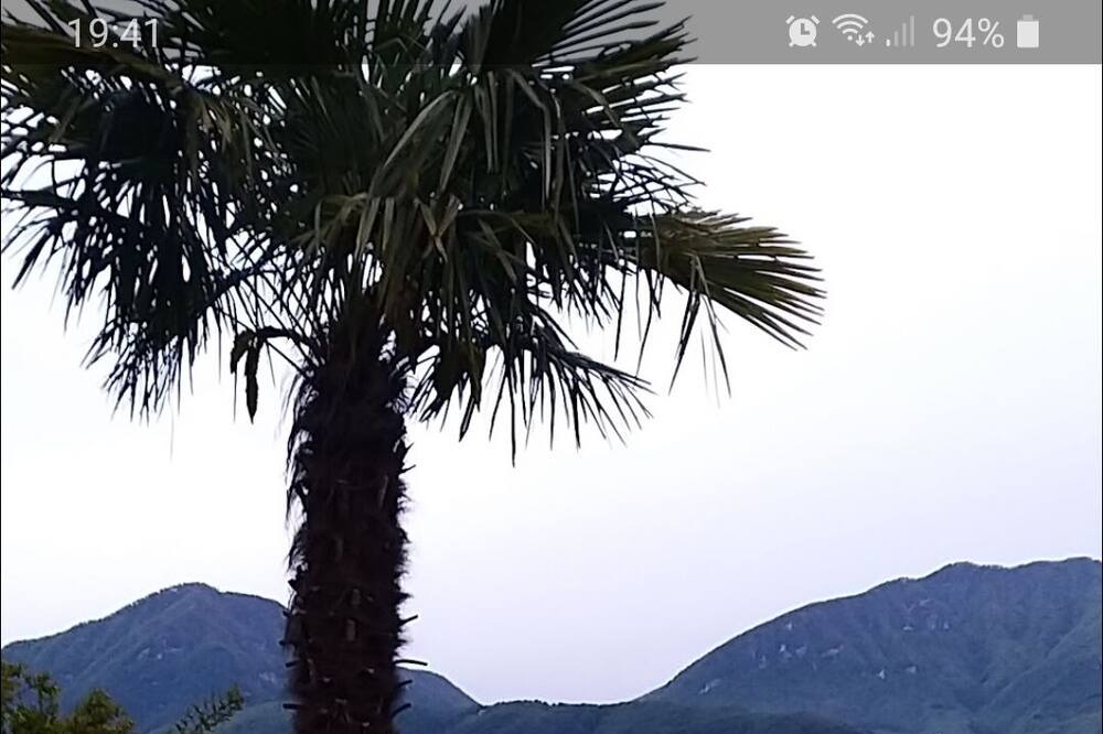 Photo of Patio Balcony in Bigogno