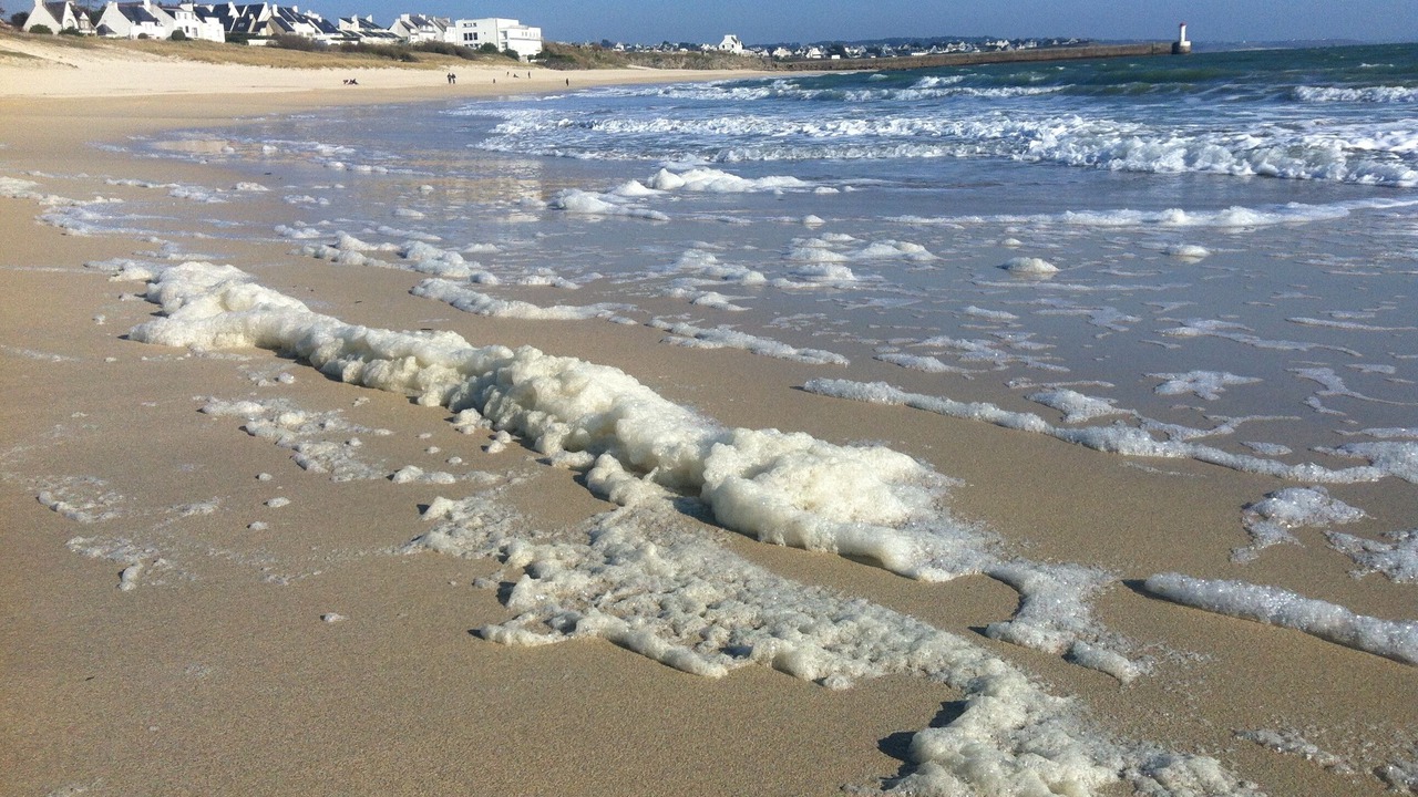 Photo of Others in Pouldreuzic