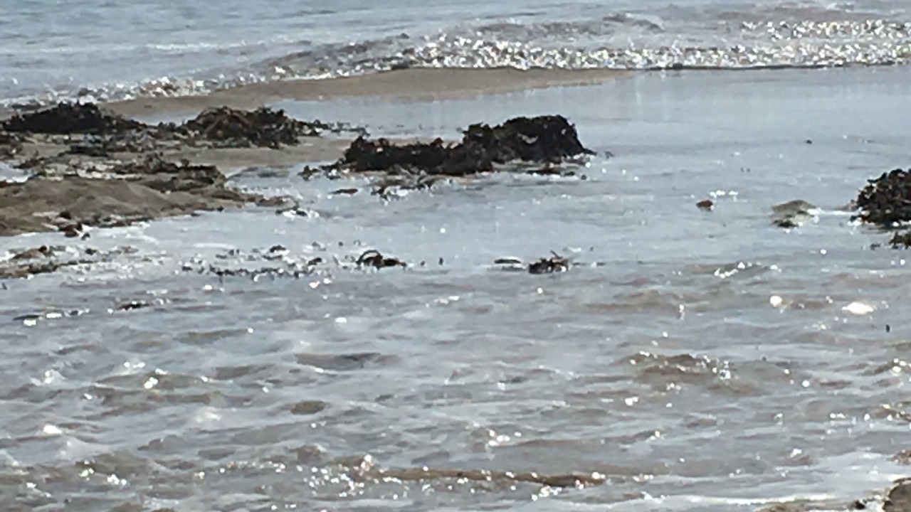 Photo of Others in Pouldreuzic