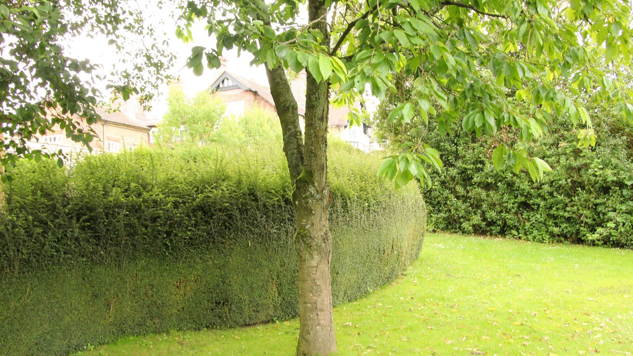 Photo of Others in Much Wenlock