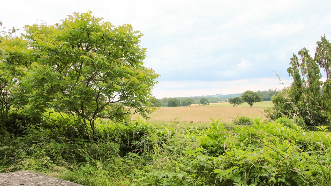 Photo of Others in Much Wenlock