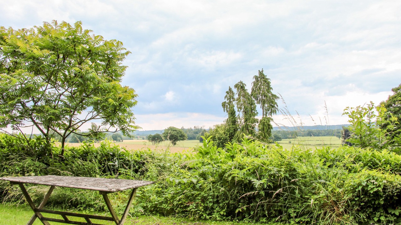 Photo of Others in Much Wenlock