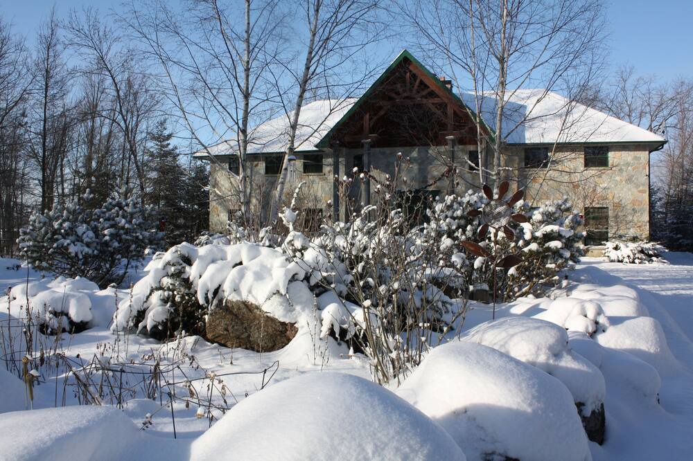 Photo of Outdoor in Sebright