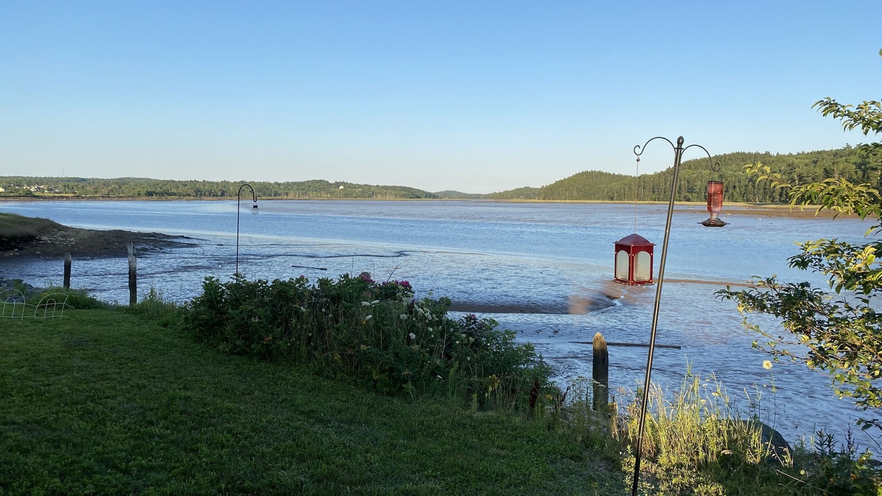 Photo of Others in Machias