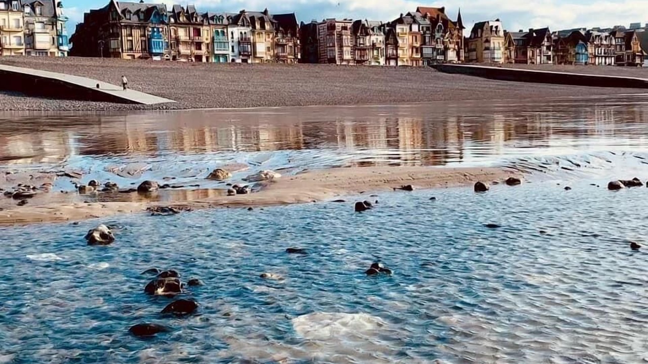 Photo of Others in Saint-Pierre-en-Val