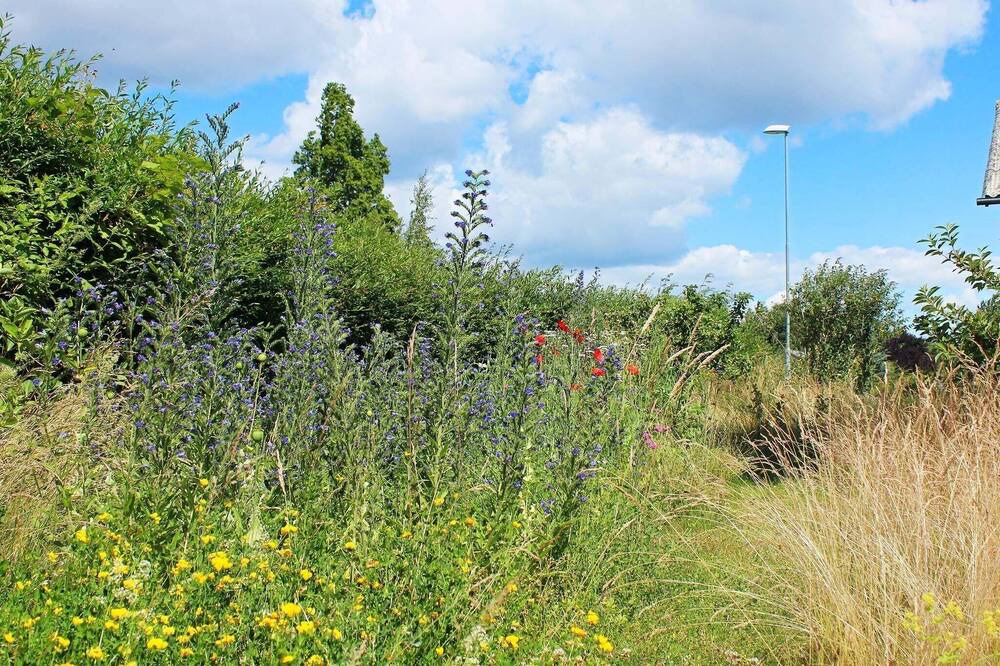 Photo of Outdoor in Snøde