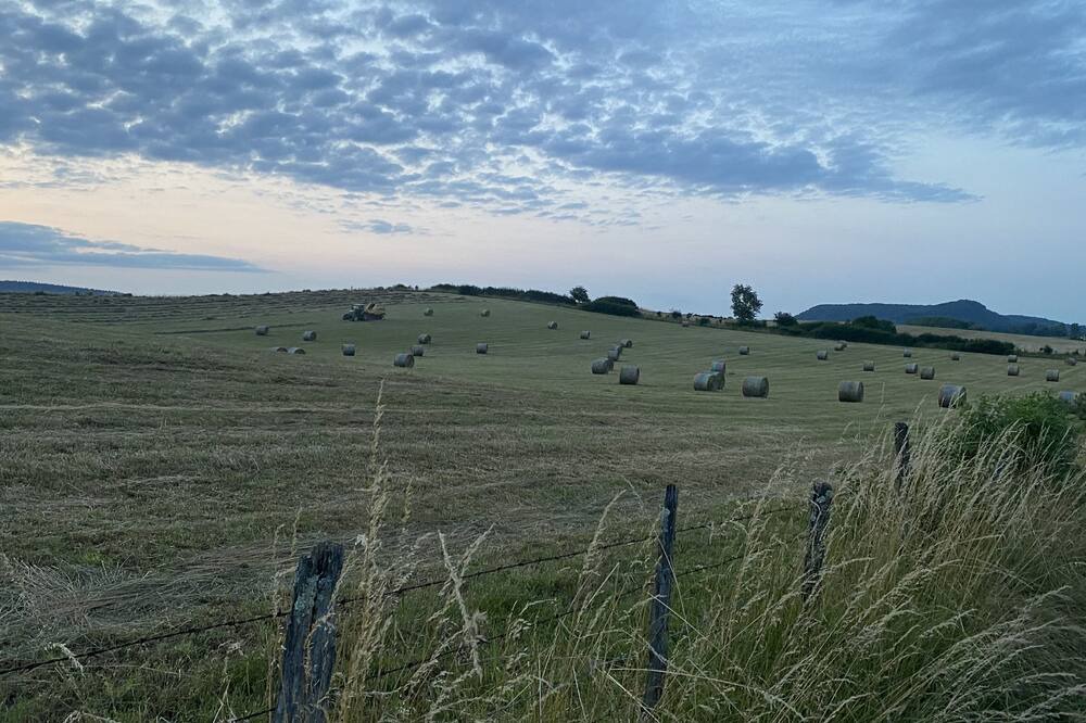 Photo of Others in Cessy