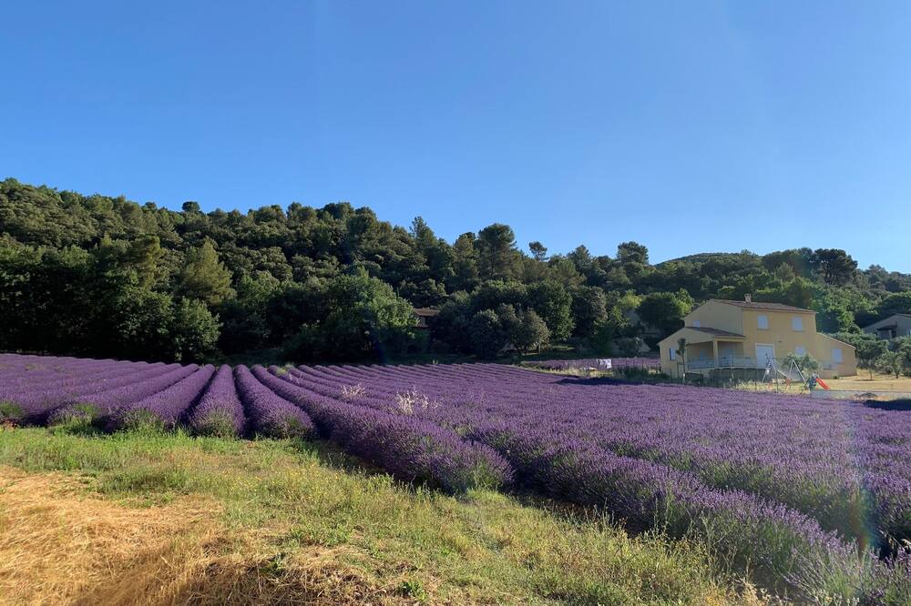 Photo of Outdoor in Oraison