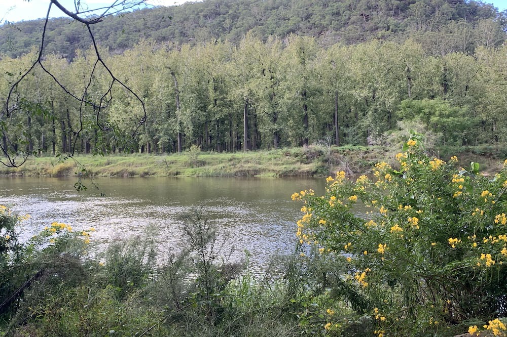 Photo of Others in Lower Macdonald