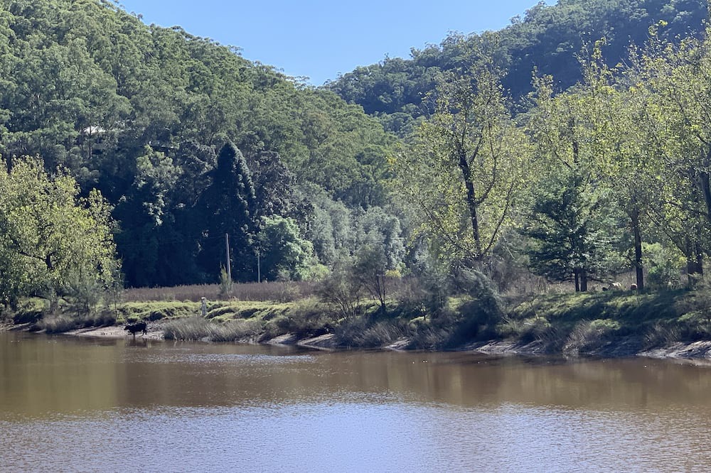 Photo of Outdoor in Lower Macdonald