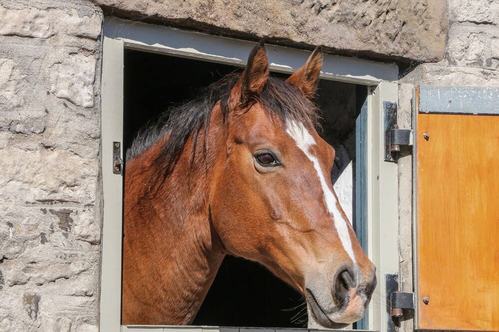 Photo of Others in Blackwell in the Peak