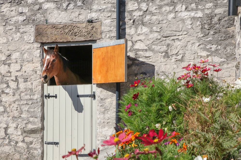 Photo of Outdoor in Blackwell in the Peak