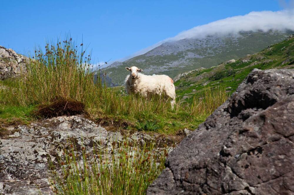 Photo of Outdoor in Llanberis