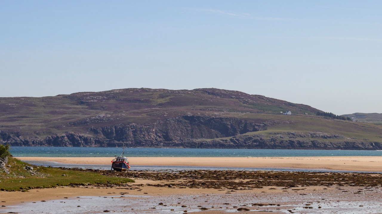 Photo of Others in Thurso