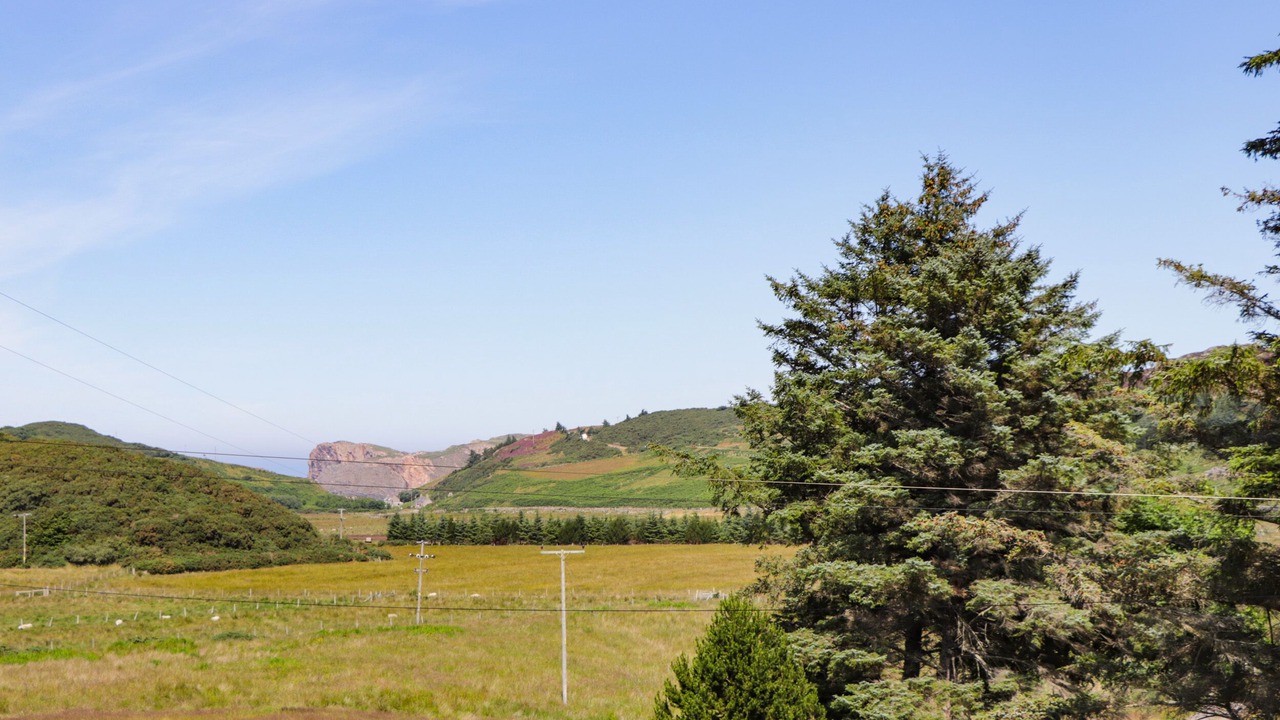 Photo of Others in Thurso