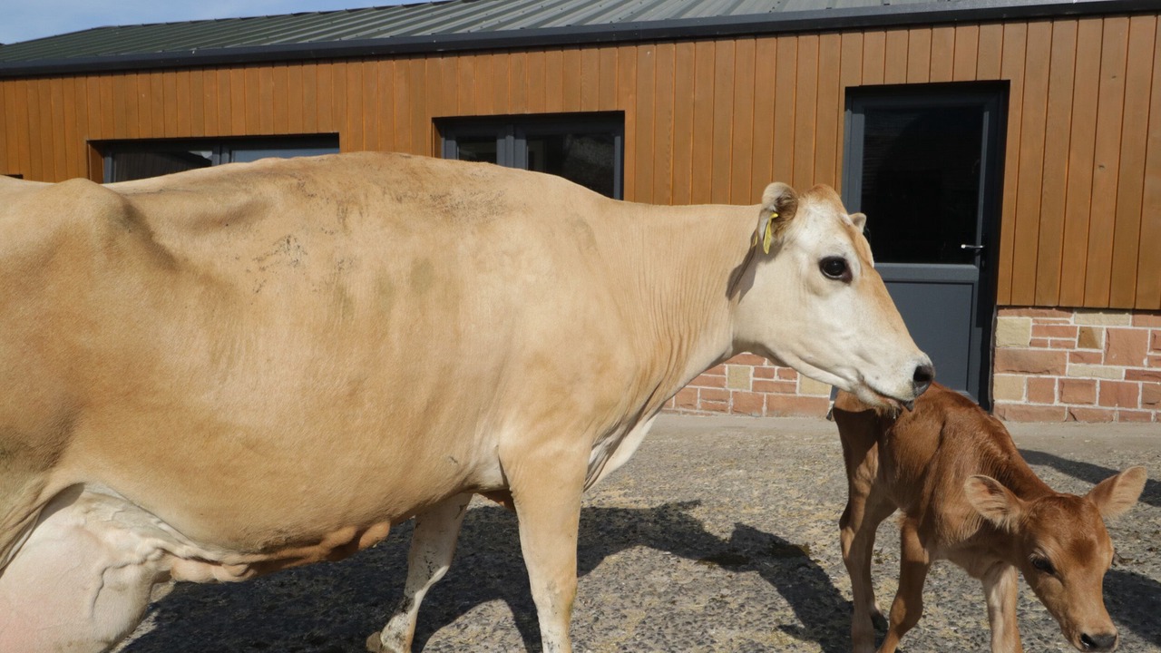 Photo of Others in Westward