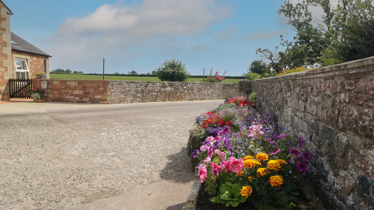 Photo of Others in Westward