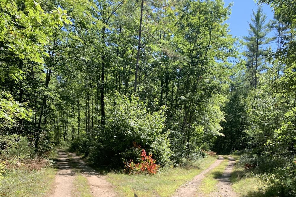 Photo of Others in West Newfield