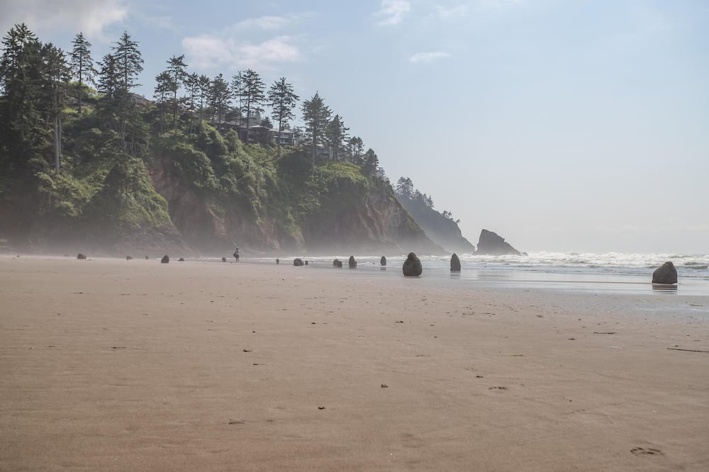 Photo of Others in Neskowin
