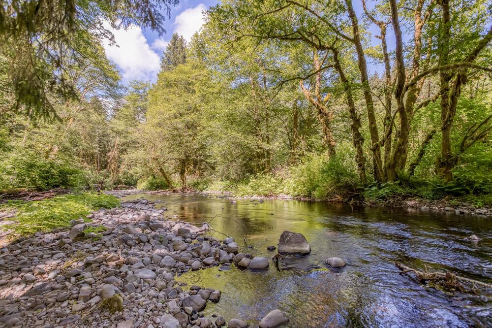 Photo of Outdoor in Neskowin