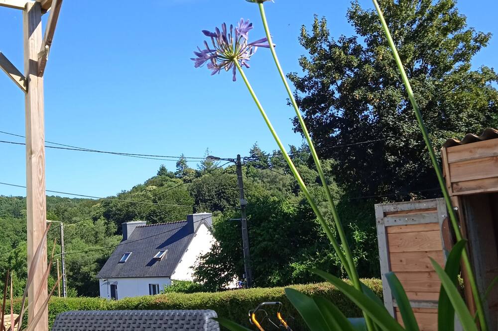 Photo of Outdoor in Dineault