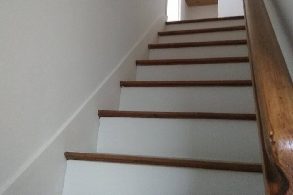 Photo of Others in Dineault