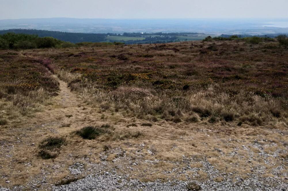 Photo of Others in Dineault