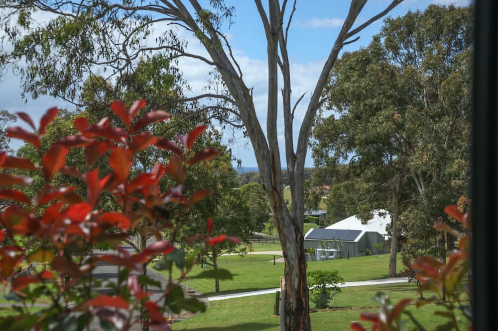 Photo of Outdoor in Red Head