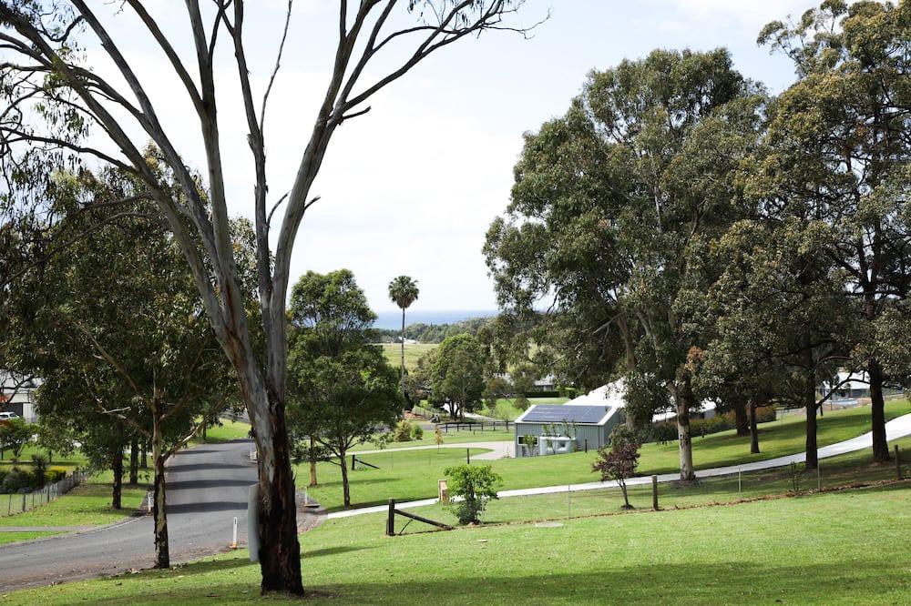 Photo of Outdoor in Red Head