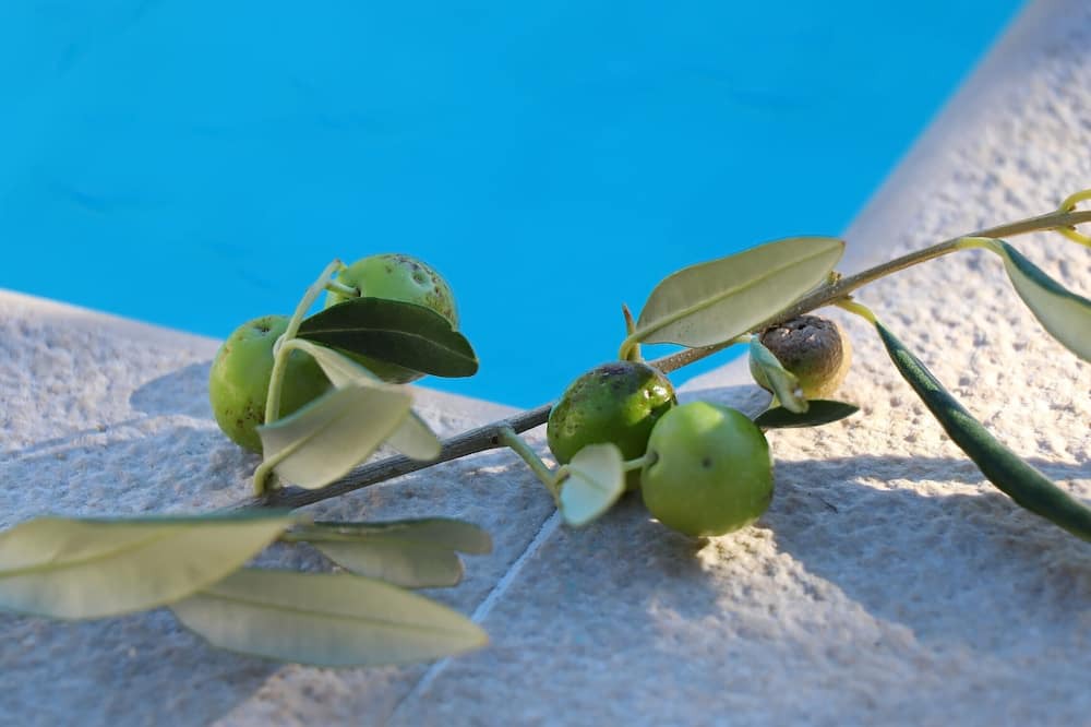 Photo of Outdoor in Trstenik
