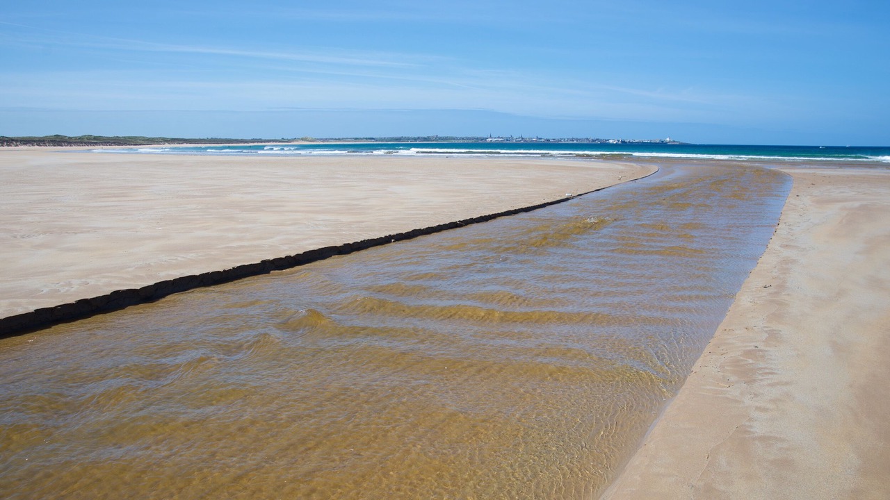 Photo of Others in Sandhaven