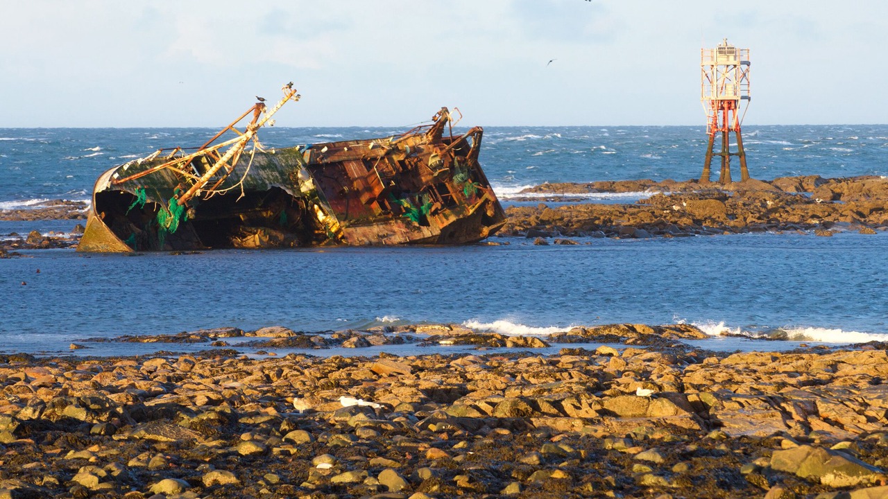 Photo of Others in Sandhaven