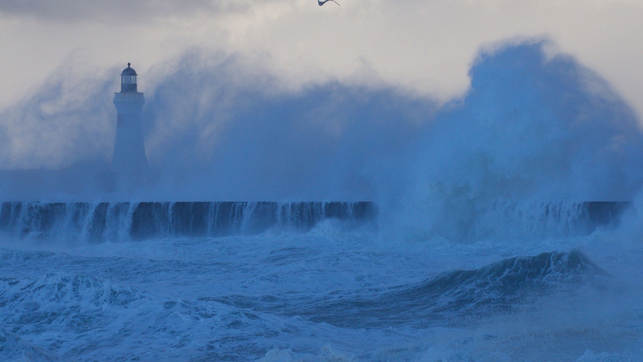 Photo of Others in Sandhaven