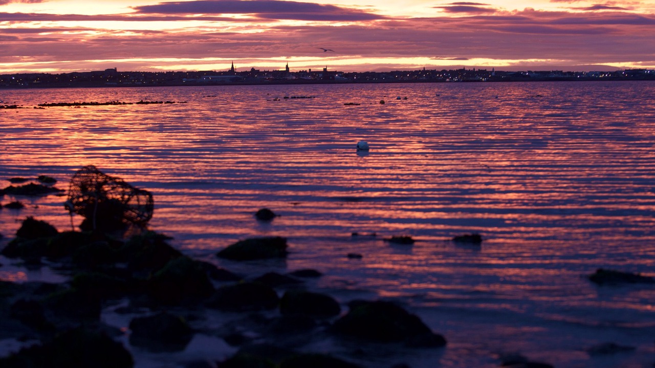 Photo of Others in Sandhaven