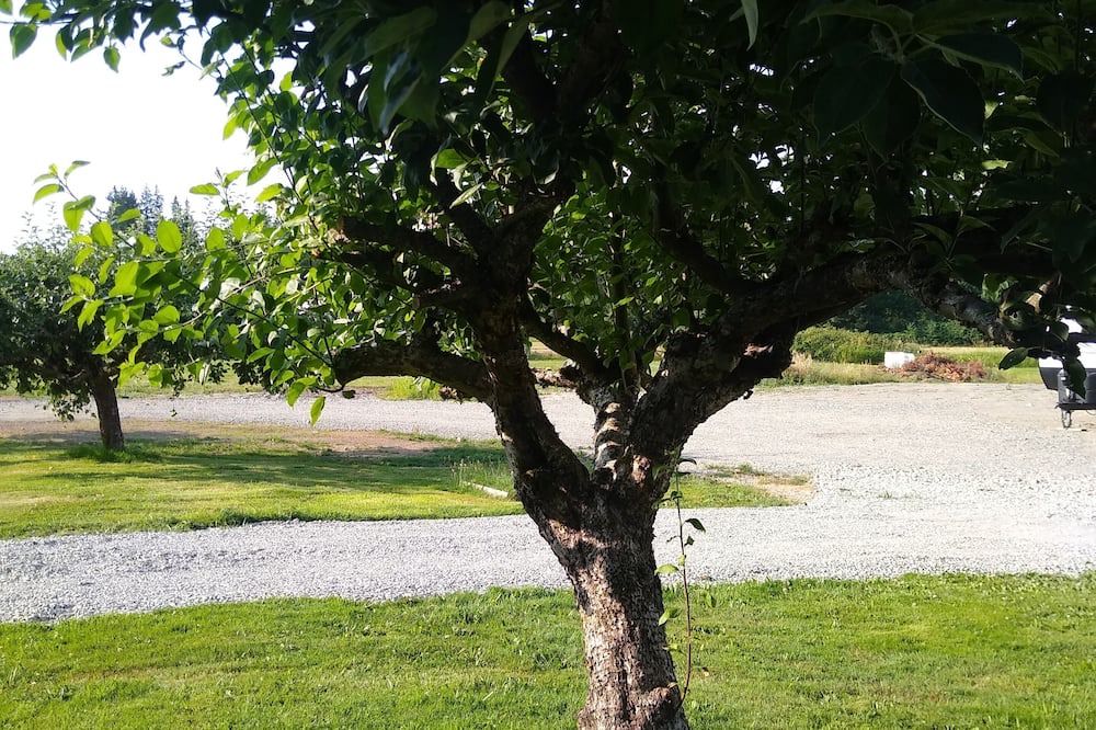 Photo of Outdoor in Arlington