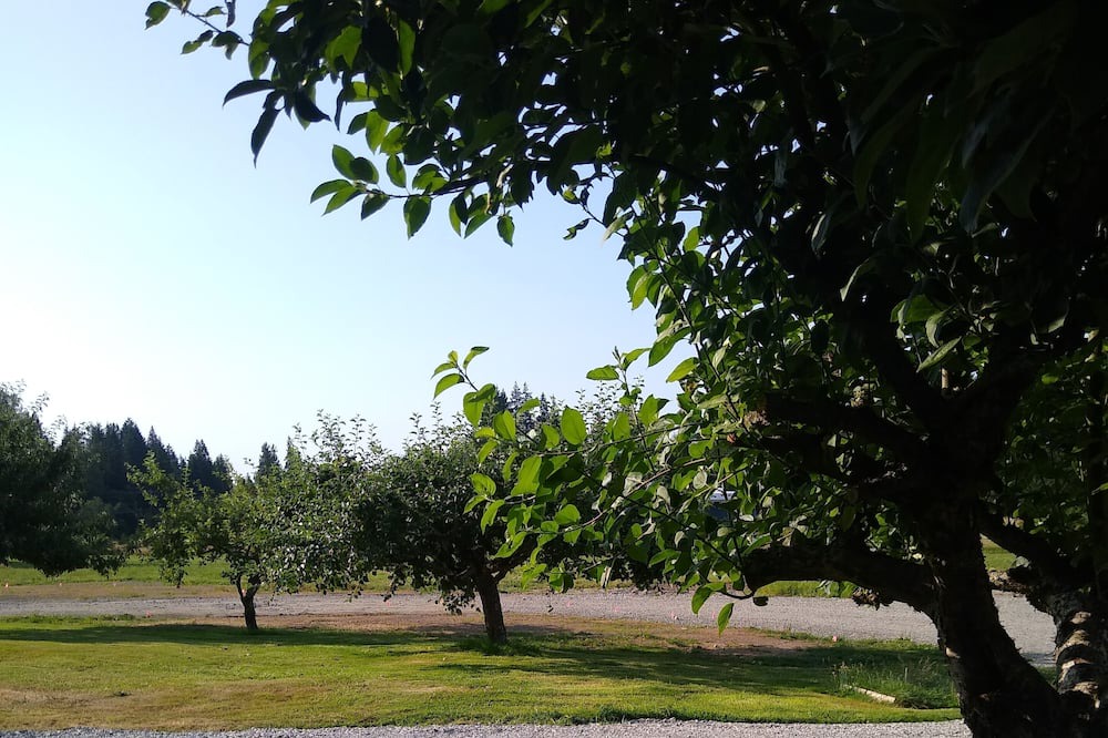 Photo of Outdoor in Arlington