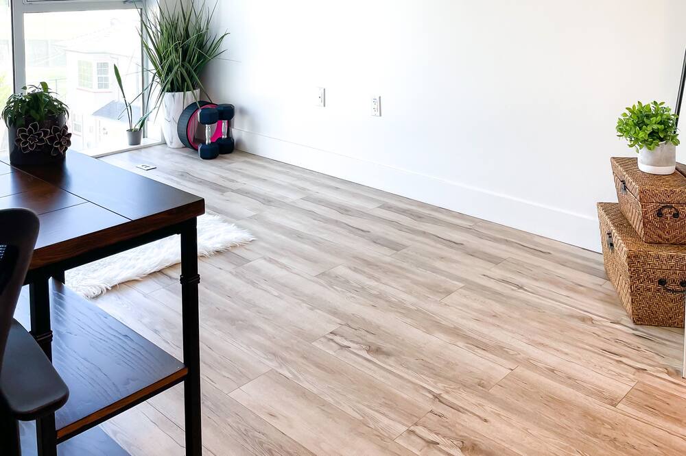 Photo of Livingroom in Temescal