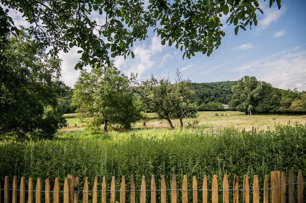 Photo of Outdoor in Mottier