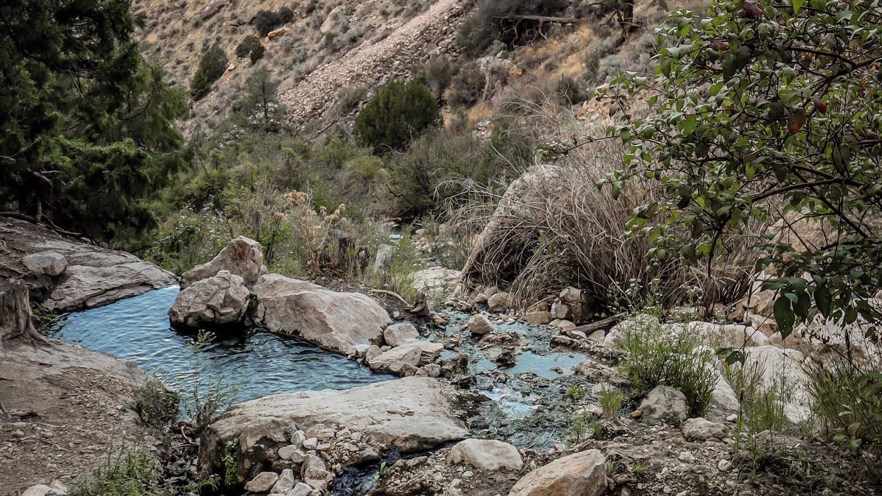 Photo of Others in Salmon