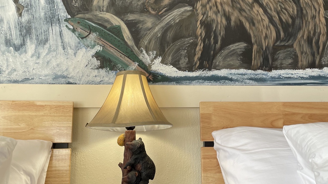 Photo of Others in Salmon