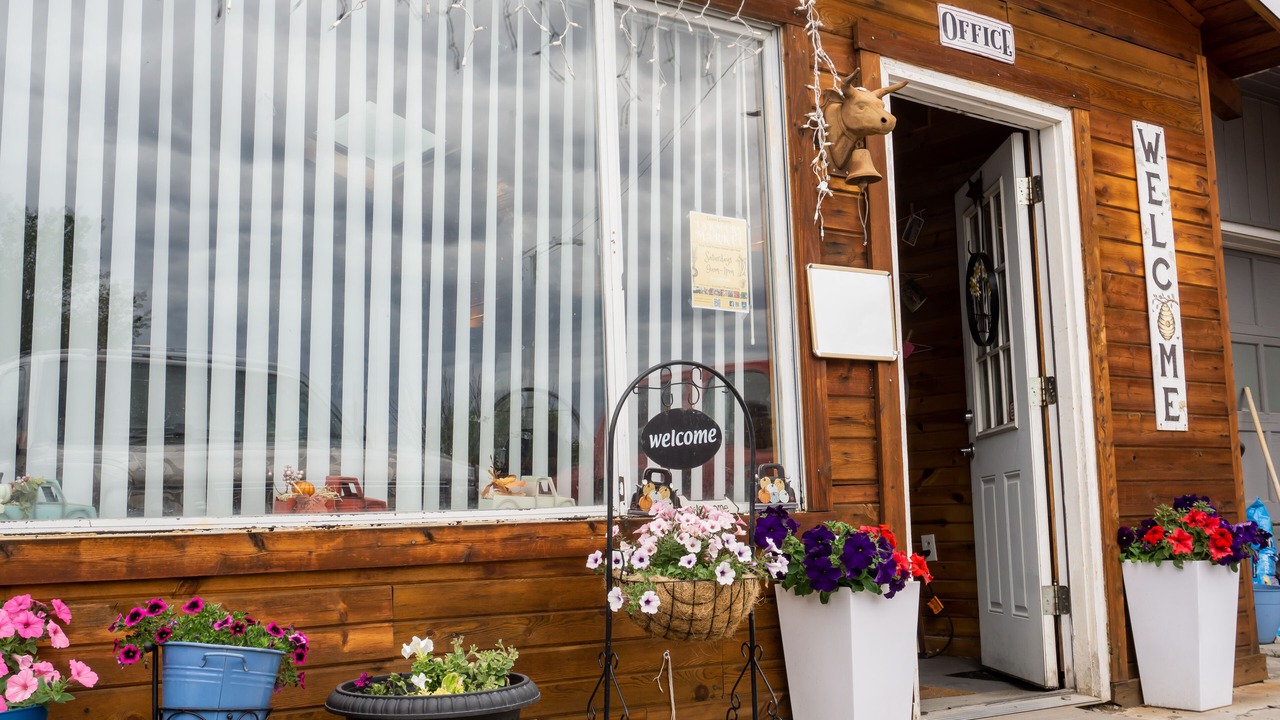 Photo of Others in Salmon