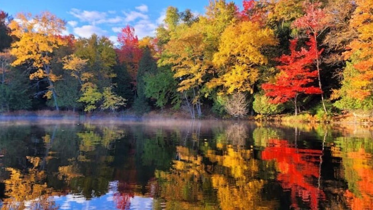 Photo of Outdoor in Utterson