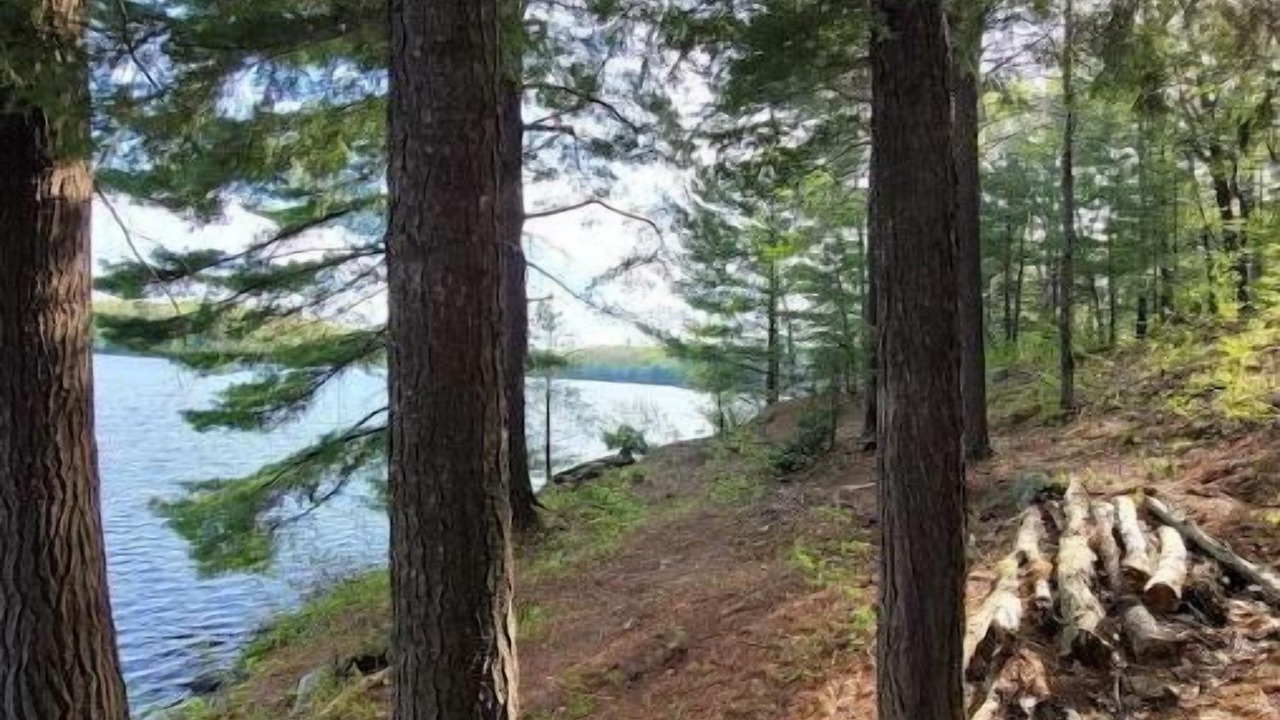 Photo of Outdoor in Utterson