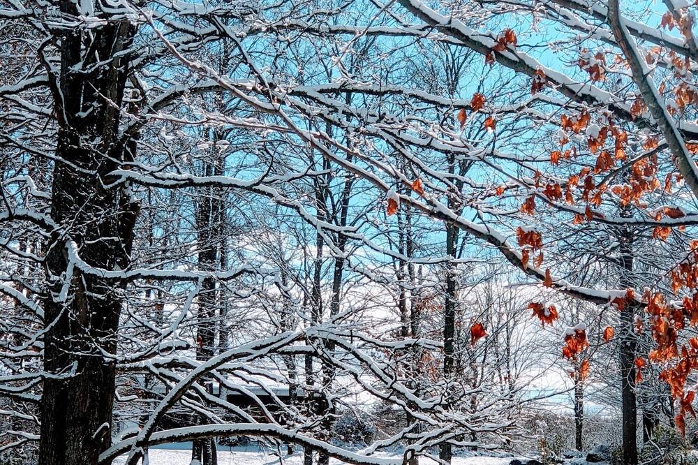 Photo of Outdoor in Glen Huron