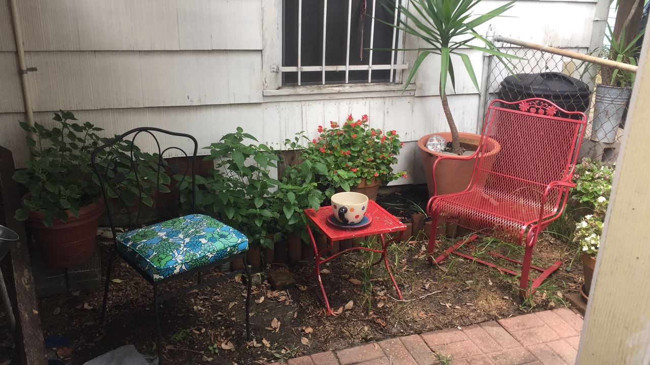 Photo of Outdoor in Garden Oaks