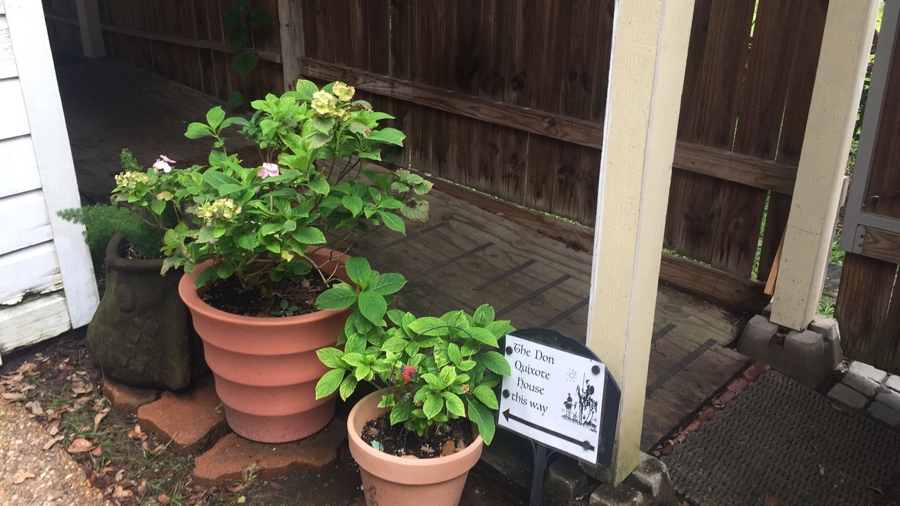Photo of Outdoor in Garden Oaks