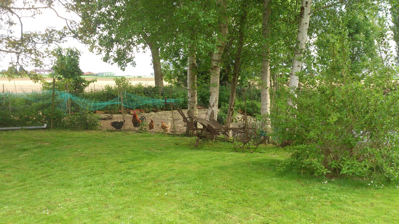 Photo of Outdoor in Rubrouck